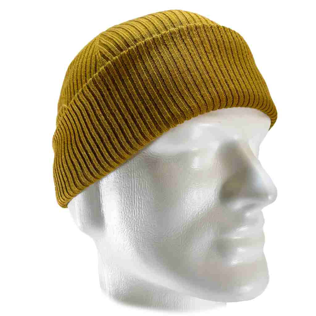Polar Beanie