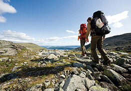 Packs, Bags & Luggage