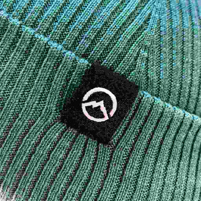 Polar Beanie