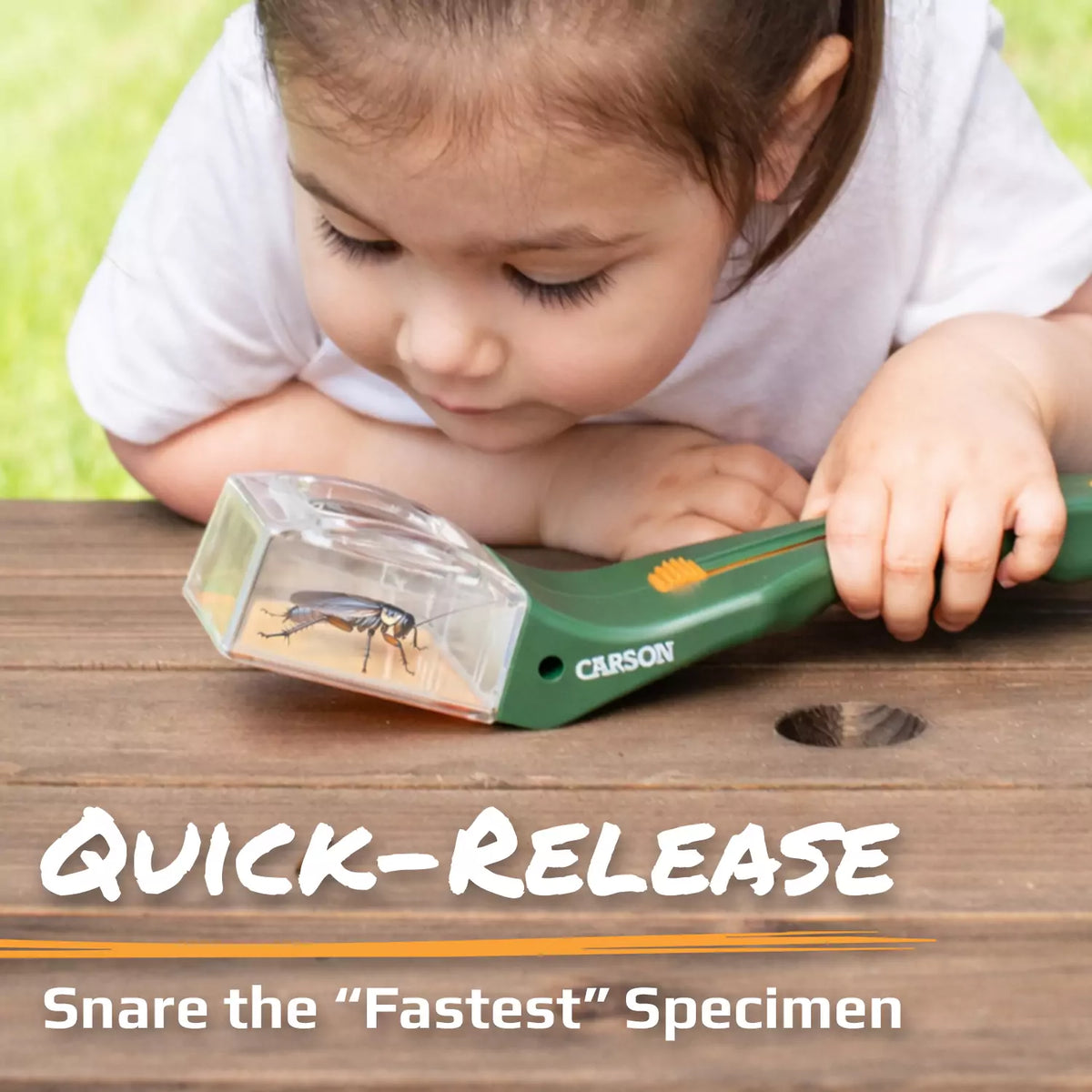 Carson Bugview™ 5x Magnifier Quick-Release Bug Catching Tool