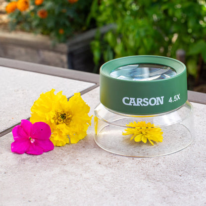 Carson Kids BugLoupe™ 4.5x Stand Magnifier